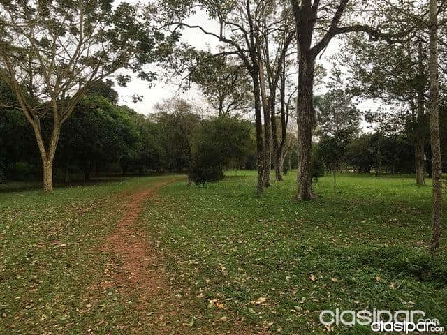 Granja sobre el lago Acaray en el Km 9, foto 1