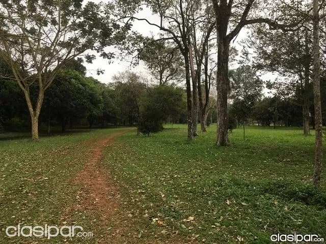 Granja sobre el lago Acaray en el Km 9, foto 2