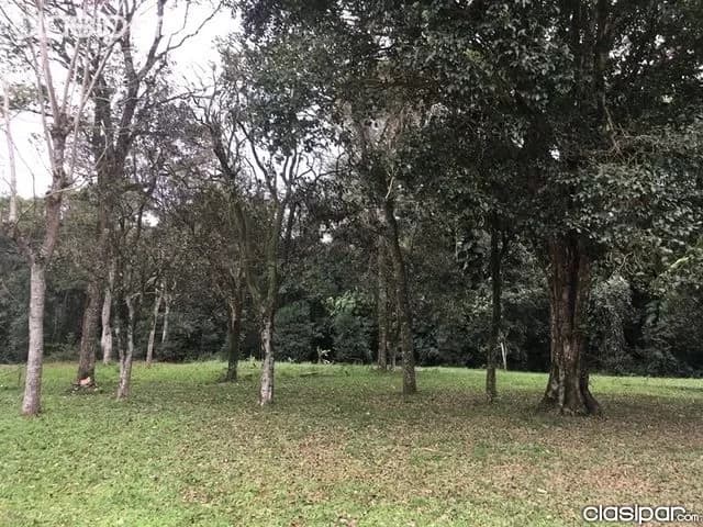 Granja sobre el lago Acaray en el Km 9, foto 3