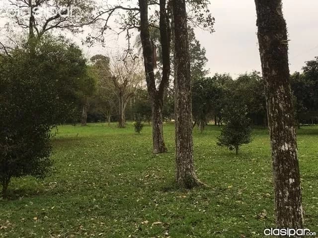Granja sobre el lago Acaray en el Km 9, foto 4