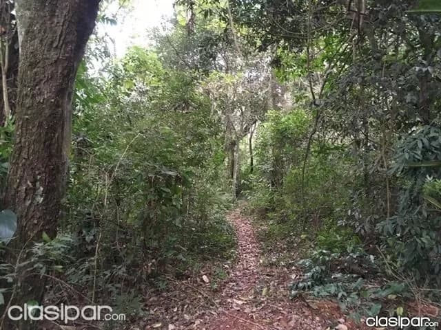 Granja sobre el lago Acaray en el Km 9, foto 5
