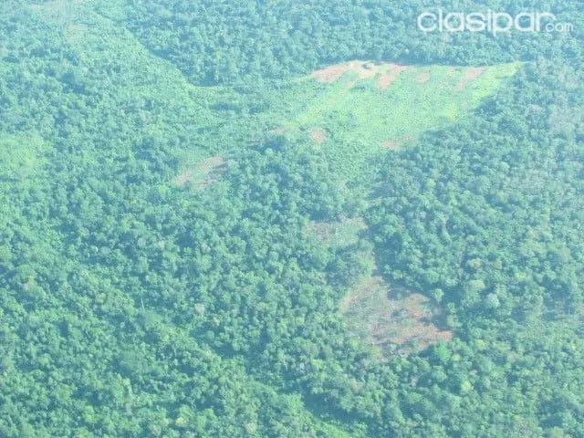 Amambay / p.j caballero : Establecimiento ganadero agricola - 8.528 has — foto 2