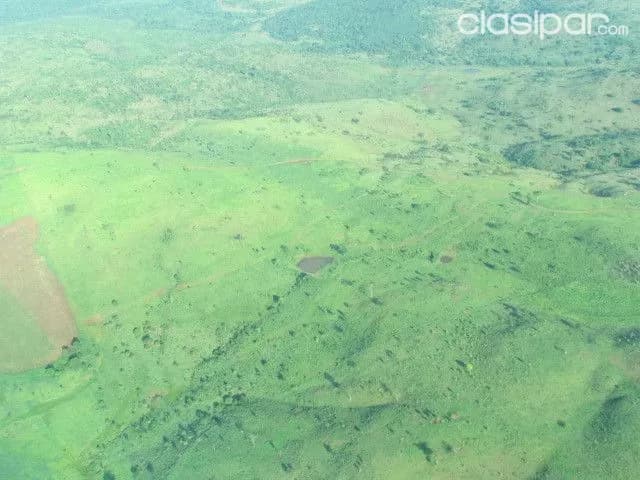 Amambay / p.j caballero : Establecimiento ganadero agricola - 8.528 has — foto 3