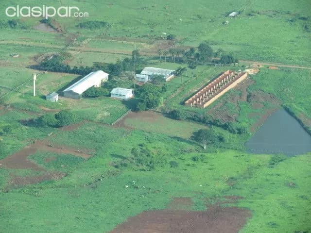 Amambay / p.j caballero : Establecimiento ganadero agricola - 8.528 has — foto 4