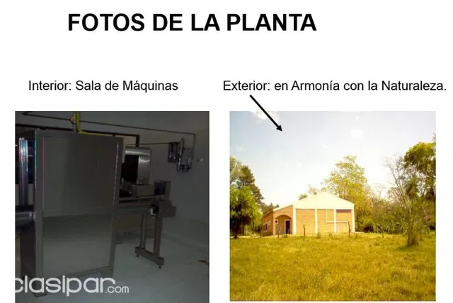 Yataity guaira: Negocio del siglo, planta de agua mineral, ganadería reforestación — foto 4