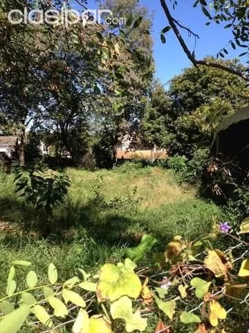 "vendo terreno de 20 X 50 , ubicacion unica !!! Sobre del maestro" — foto 4
