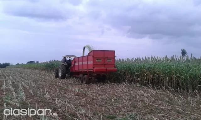 Rancho, campo de 30 hectáreas en san juan bautista, misiones!!! — foto 3