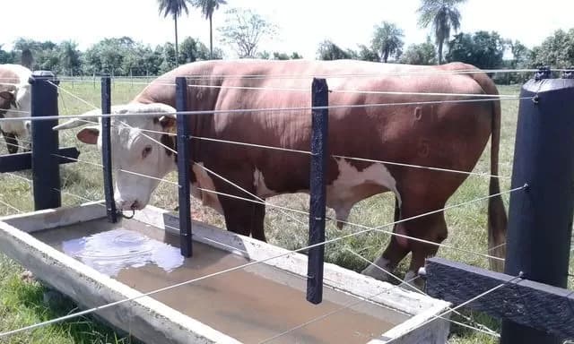 Rancho, campo de 30 hectáreas en san juan bautista, misiones!!! — foto 4