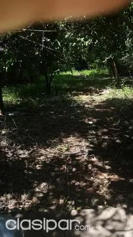 Oferta, lambare, sobre carretera de lopez!!! — foto 5