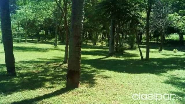 Propiedad en Ybycui....COD: CL 514, foto 4