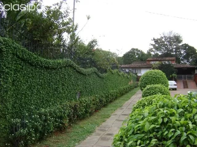 OFERTA NUEVA - Casa en Venta en Ñemby – A 3 cuadras de Acceso Sur, foto 2