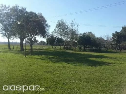Caazapa - ideal p/ agricultura - 432 has - mecanizada — foto 4
