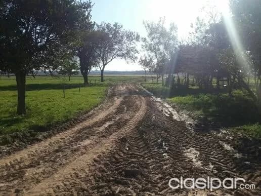 Caazapa - ideal p/ agricultura - 432 has - mecanizada — foto 5