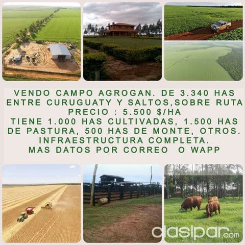 Curuguaty - salto del guaira - s/ ruta - vendo 3.340 has - con campo e insfraestructura — foto principal