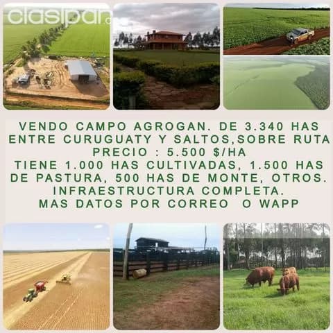 Curuguaty - salto del guaira - s/ ruta - vendo 3.340 has - con campo e insfraestructura — foto 2