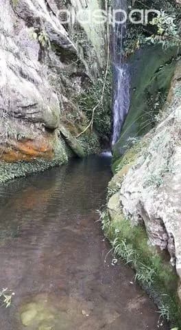 Casa quinta en tobatí, cordillera, sobre ruta caacupe-tobatí!!! — foto 3