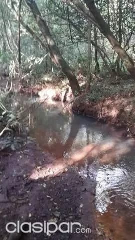 Especial para granja 6has en km 8 monday. Ref fipar 1, foto 2