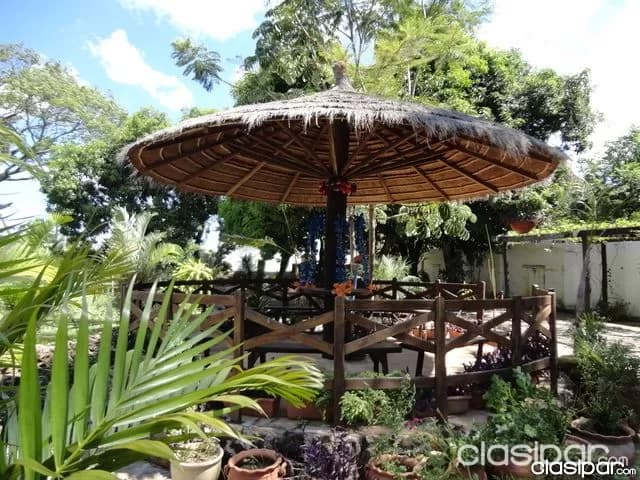 Importante propiedad c/ tinglado en Limpio, foto 5