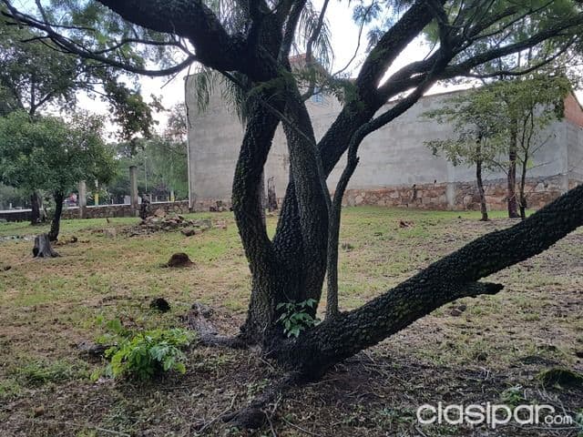 Terreno Itu - Caacupe, foto 2