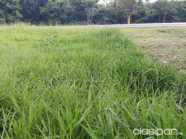Terreno Itu - Caacupe, foto 5