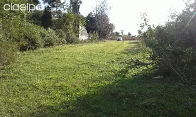 Terreno ita - yaguaron — foto 2