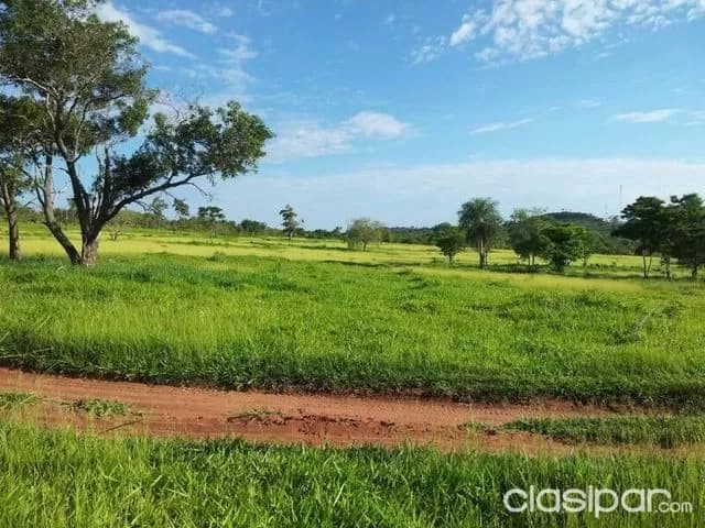 Pedro juan caballero (amambay): 3.300 has c/ mejoras - 4.000 usd la ha — foto 5