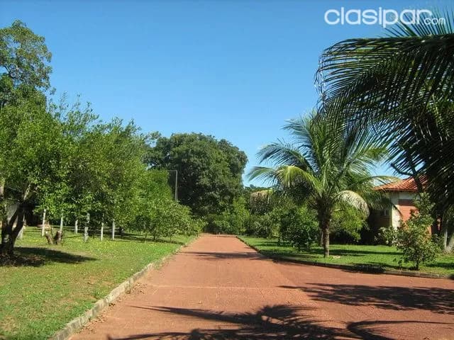 Patiño - aregua: Preciosas casa quinta en oportunidad - 4 has. - oportunidad unica - 2.700.000 usd — foto 4