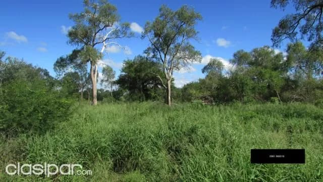 5.000 hectáreas Boqueron — foto 2