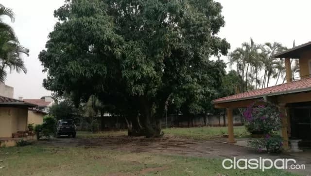 Imponente propiedad de 3.000 mts2 en pleno barrio los laureles, foto 4