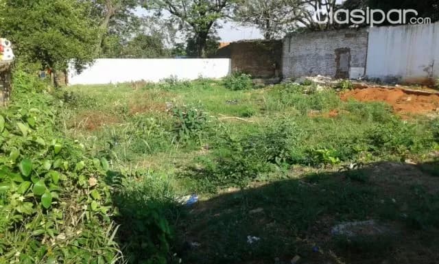 terreno en san Isidro ( Lambare ) COD: CL552 — foto 4