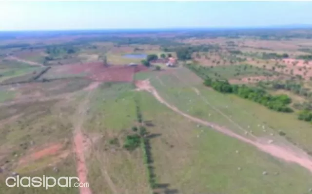 Paraguari - san roque gonzalez : Hermosas 1.000 has en venta — foto 3