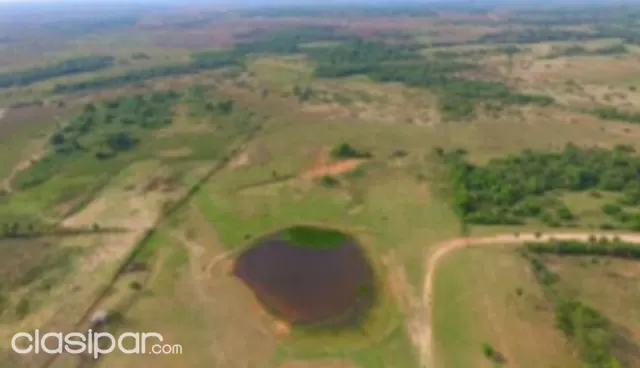 Paraguari - san roque gonzalez : Hermosas 1.000 has en venta — foto 5