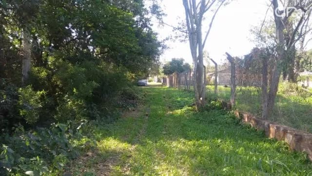Villa adela - Luque - terreno de 1600 m2, foto 3