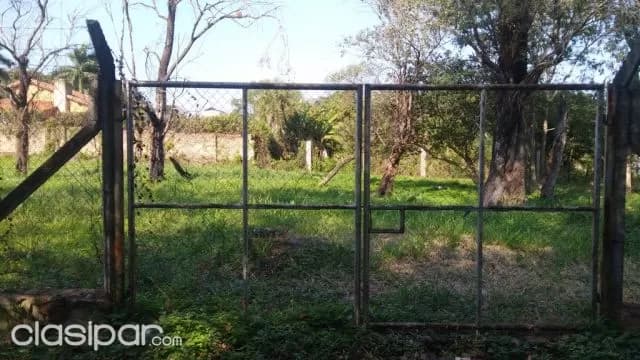 Villa adela - Luque - terreno de 1600 m2, foto 4