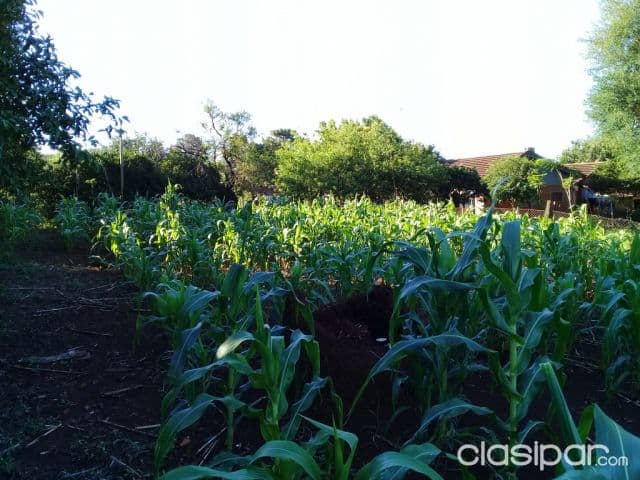 457 m2 terreno en venta en Obligado Centro — foto principal