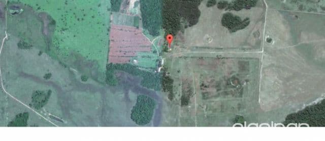 Estancia ideal para producción ganadera y forestal