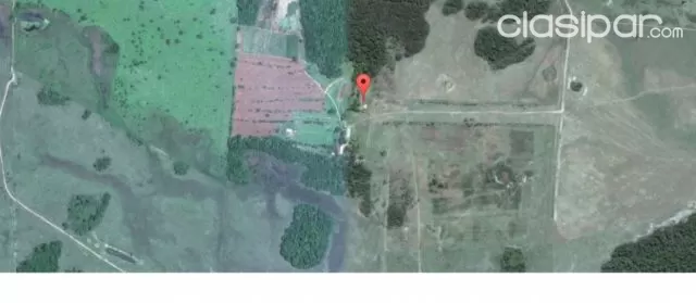 Estancia ideal para producción ganadera y forestal, foto 2