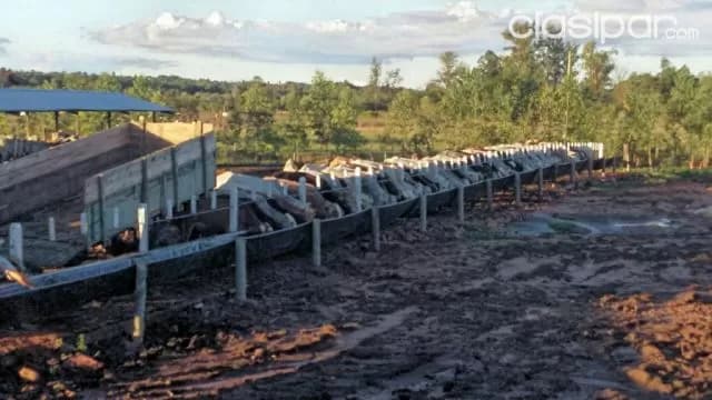 Ita – nueva italia: Vendo 358 has ideales p/ agricultura / ganadería — foto 3