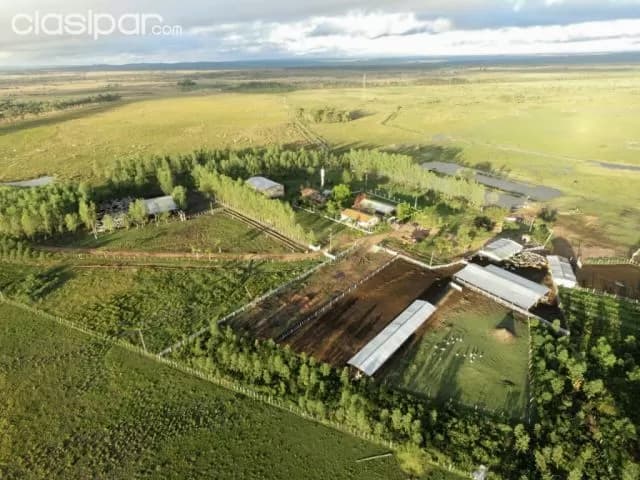 Ita – nueva italia: Vendo 358 has ideales p/ agricultura / ganadería — foto 5