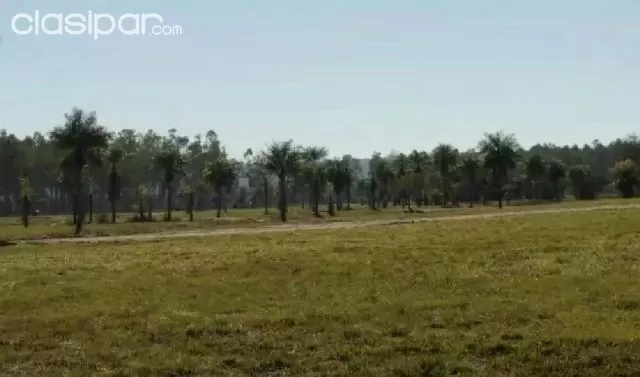Ypacarai camino a caacupe, zona pablito, foto 2