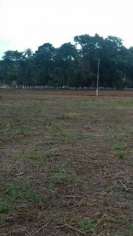 Recuperados en san juan del parana, foto 1
