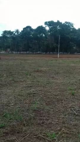 Recuperados en san juan del parana, foto 2