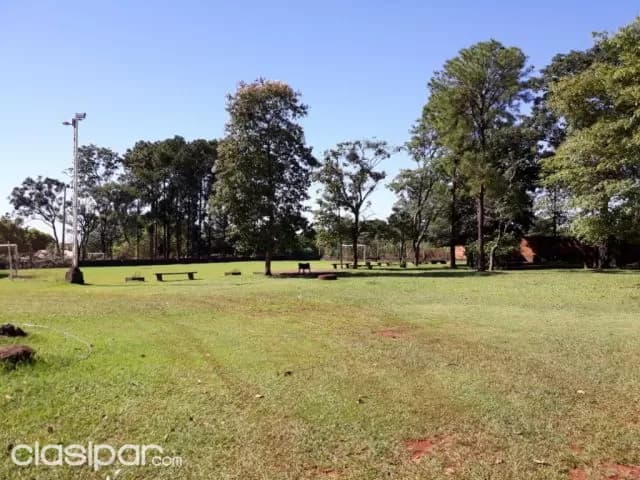 8.980 m2 sobre la doble av del km 7 do — foto 3