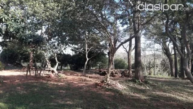 Hermosa propiedad de 67 has en ri 3 corrales — foto 4