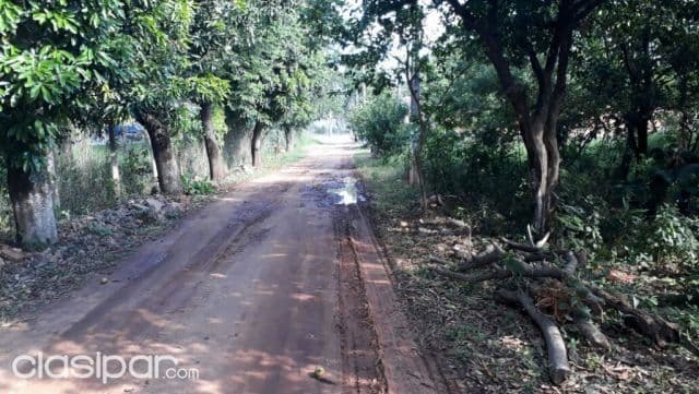 terrreo en capiata km20, foto 1