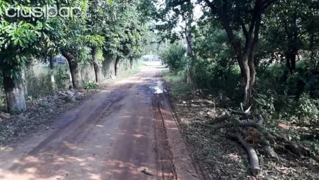 terrreo en capiata km20, foto 2