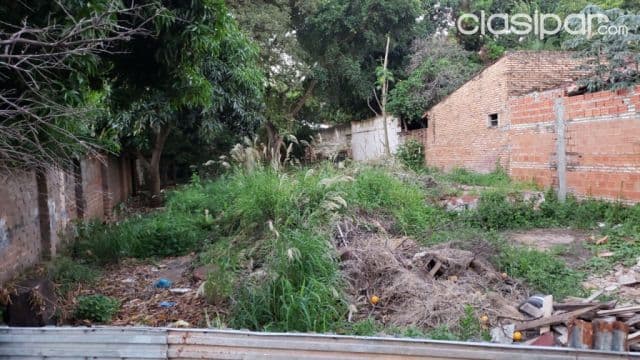 terreno 12x32 en Luque zona favero...COD: CL 591 — foto 1