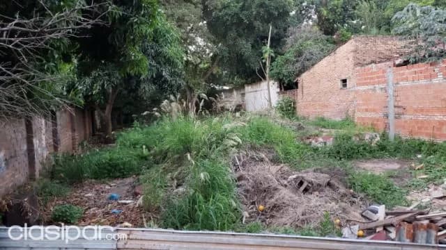 terreno 12x32 en Luque zona favero...COD: CL 591 — foto 2