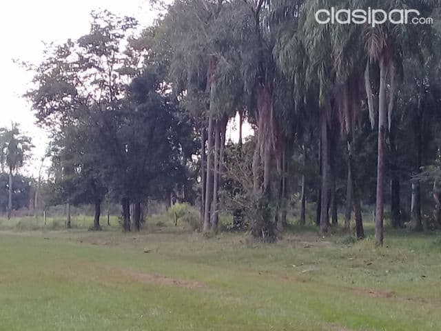 Hermosos lotes en santani, foto 1