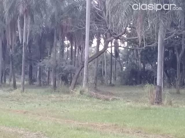 Hermosos lotes en santani, foto 3